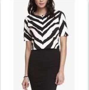 Express Zebra Print Crop Top